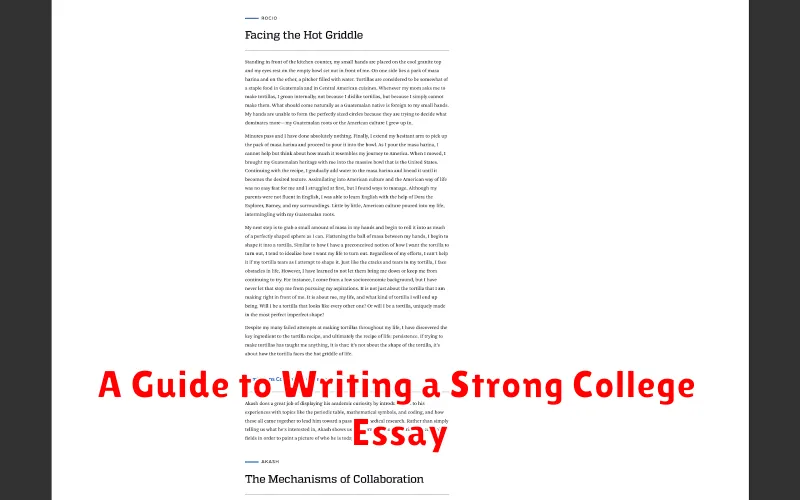 A Guide to Writing a Strong College Essay