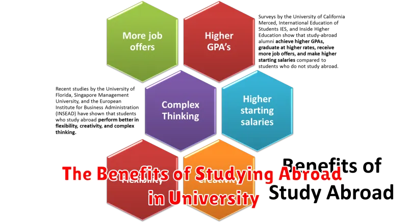 The Benefits of Studying Abroad in University